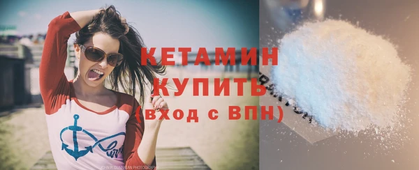 индика Гусь-Хрустальный