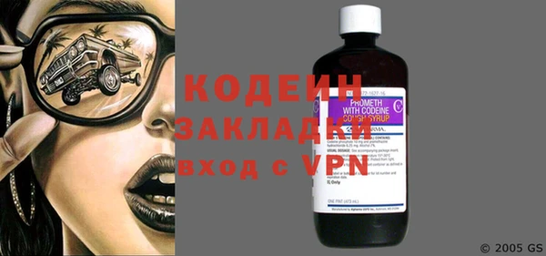 индика Гусь-Хрустальный