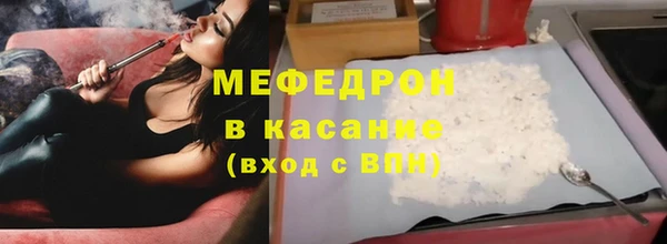 индика Гусь-Хрустальный
