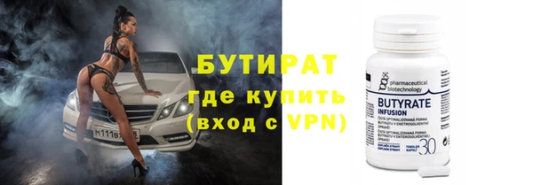 индика Гусь-Хрустальный