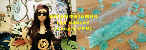 индика Гусь-Хрустальный