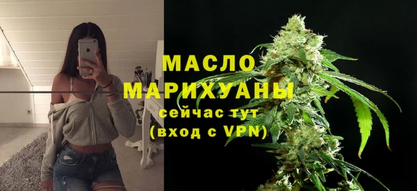 индика Гусь-Хрустальный