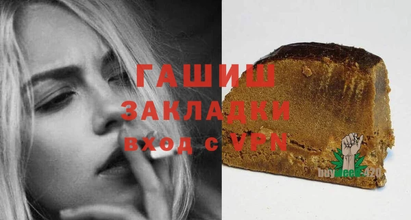 индика Гусь-Хрустальный