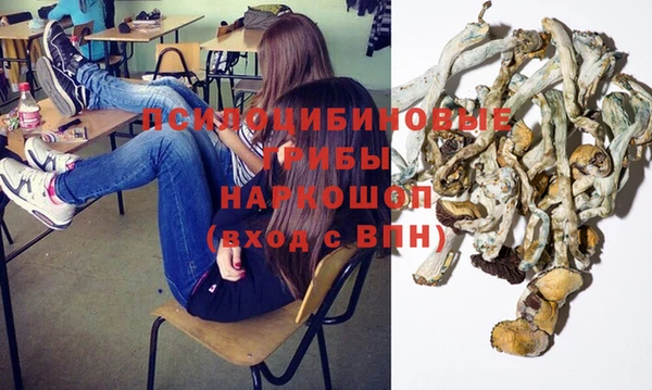 индика Гусь-Хрустальный