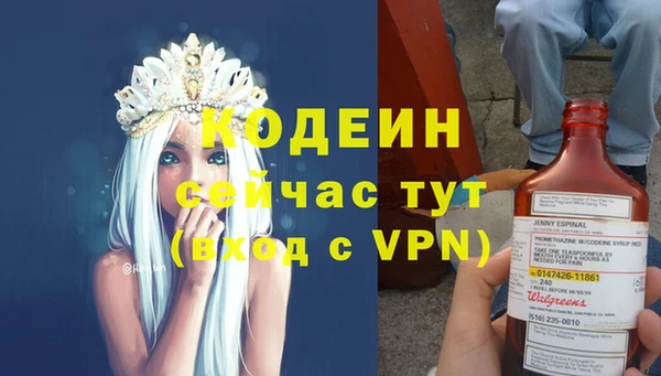 индика Гусь-Хрустальный