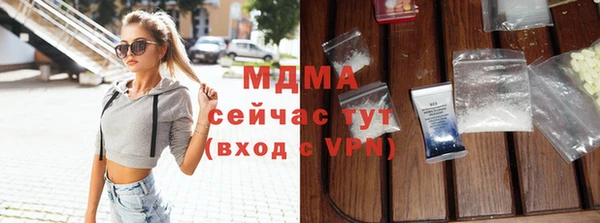 индика Гусь-Хрустальный