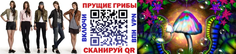 Галлюциногенные грибы прущие грибы  ОМГ ОМГ tor  Жердевка  купить закладку 